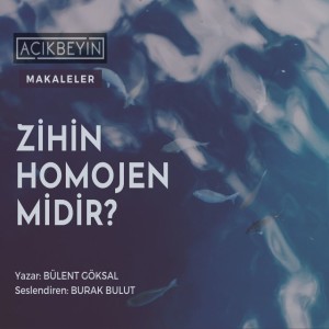 Zihin Homojen Midir? | AçıkBeyin Makaleler