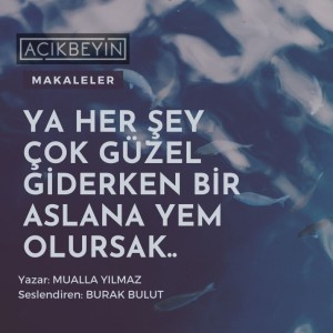 Ya Her Şey Çok Güzel Giderken Bir Aslana Yem Olursak.. | AçıkBeyin Makaleler