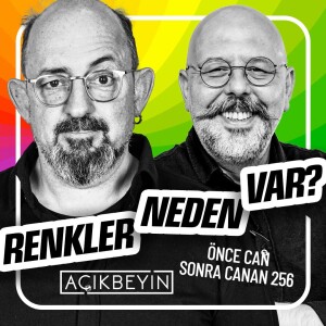 Renkler Neden Var? I Önce Can Sonra Canan 256.Bölüm