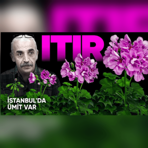 Hatıraları Sürdüren Bitki: ITIR | İstanbul‘da Ümit Var - B13