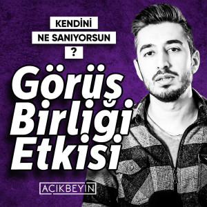 Görüş Birliği Etkisi | Kendini Ne Sanıyorsun? - B03