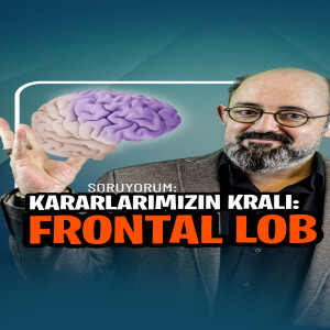 Kararlarımızın Kralı: Frontal Lob I SoruYorum