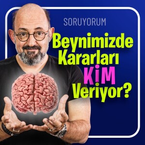 Beynimizde Kararları Kim Veriyor? I SoruYorum