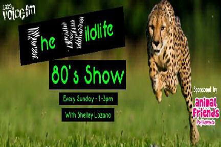 Wildlife 80's Show from 103.9 Voice FM (Sunday 17th January 2016) 