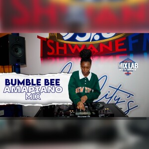 Bumble bee β Amapiano Mix 2025 | Live on MixLab with DJ Liquidator | Tshwane Fm 93.6
