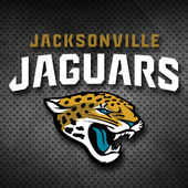 Jags Beat The Steelers, Bring on the Patriots!