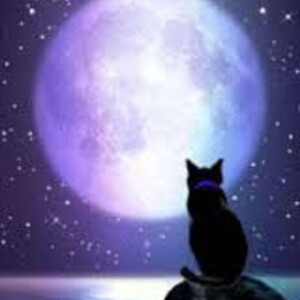 Nightlight with Barbara Delong--Barbara Reads 2017