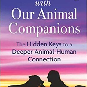 Animal Soul Contracts: Sacred Agreements for Shared Evolution with Tammy Billips