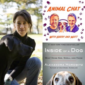 S2 E11 Animal Chat with Alexandra Horowitz