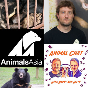 S2 E8 Animal Chat with Dave Neale