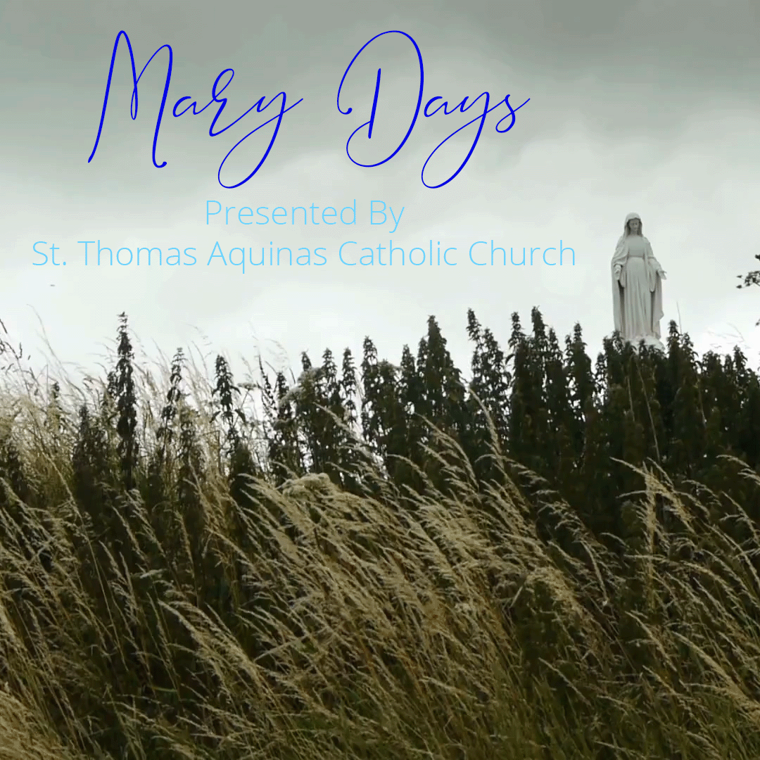 Mary Days: Our Lady of Hope