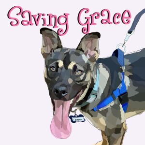 Molly Goldston, Owner of Saving Grace - creating a safe, loving environment for dogs until they find their forever homes + advice for running a non-profit & how to support your local animal shelter