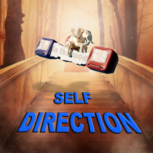 Self-Direction