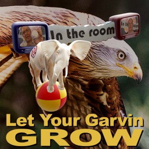 Let Your Garvin Grow