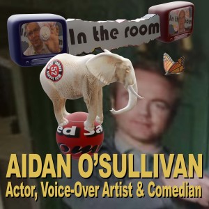 Aidan O‘Sullivan, Actor, Voice-Over Artist & Comedian, is ”In The Room” with 52 Jokers Wild.