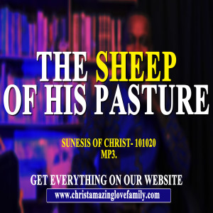 Sheep of His Pasture