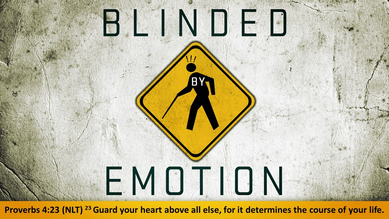 Emotions Pt.1 - Blinded by Emotion