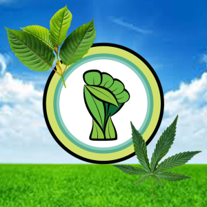 LFN #81 - How Plant Medicines Such as Kratom and Cannabis Can Benefit Your Life