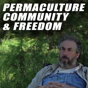 LFN #114 - Paul Wheaton on How Permaculture and Community Can Free Our World