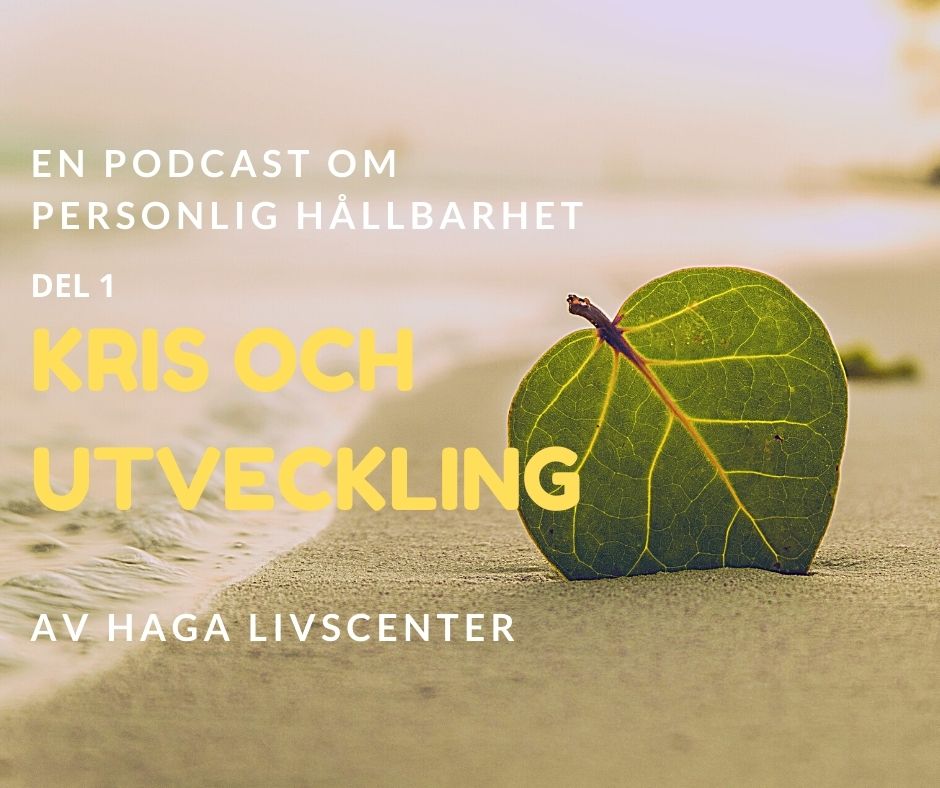 1. Kris och Utveckling