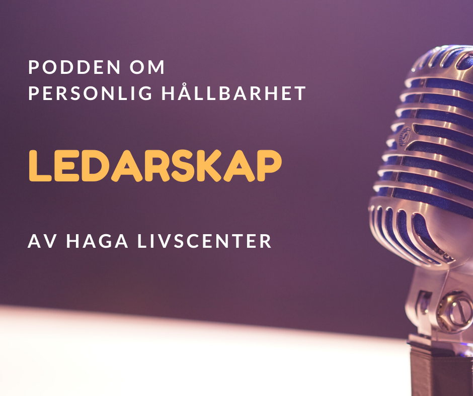 3. Ledarskap