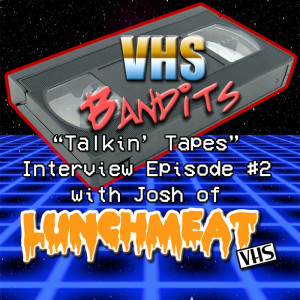 37.5  Interview with Josh from Lunchmeat VHS