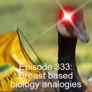 Episode 333: Breast based biology analogies