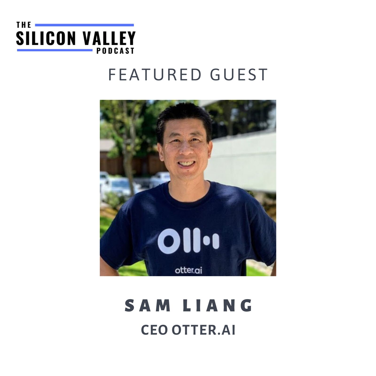 The Silicon Valley Podcast