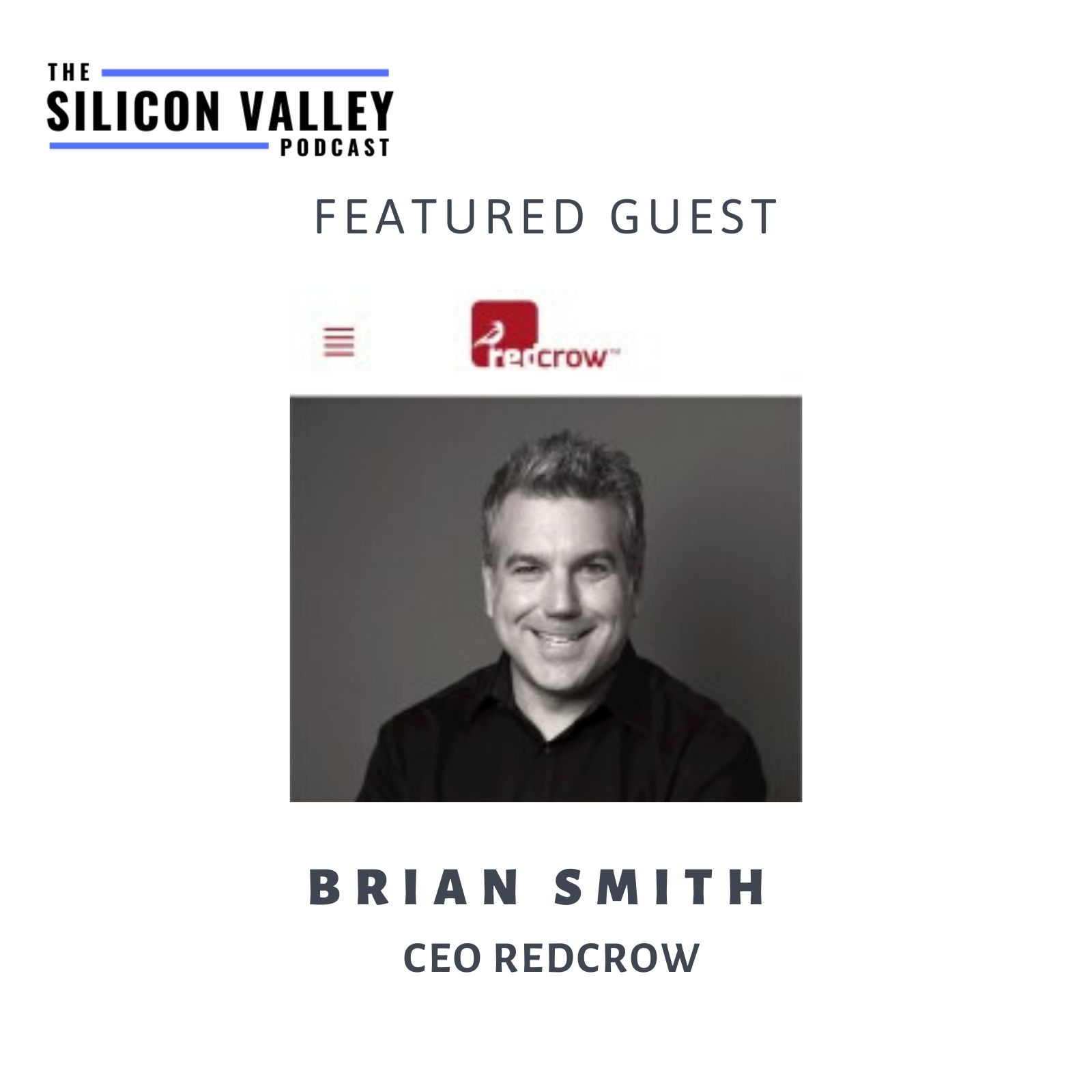 The Silicon Valley Podcast