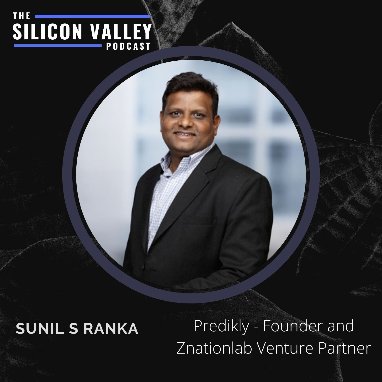 The Silicon Valley Podcast