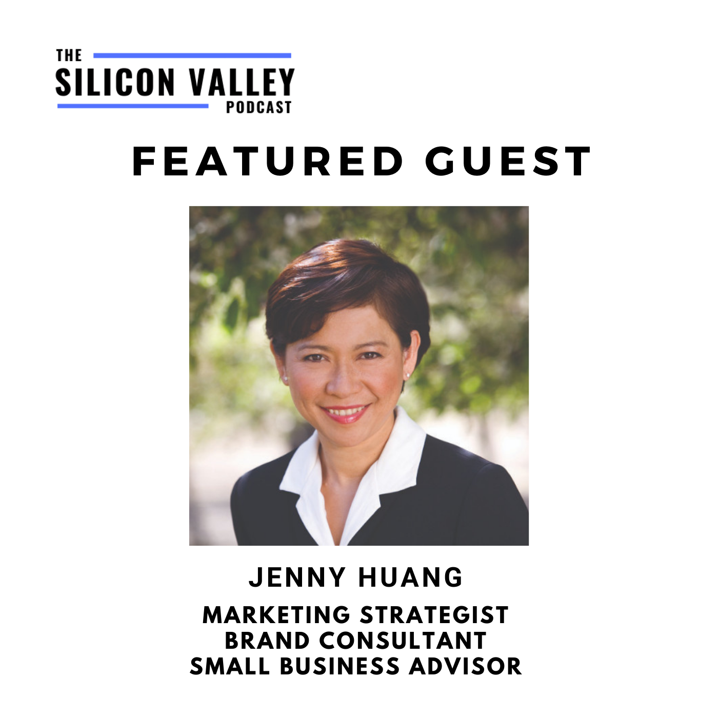 The Silicon Valley Podcast