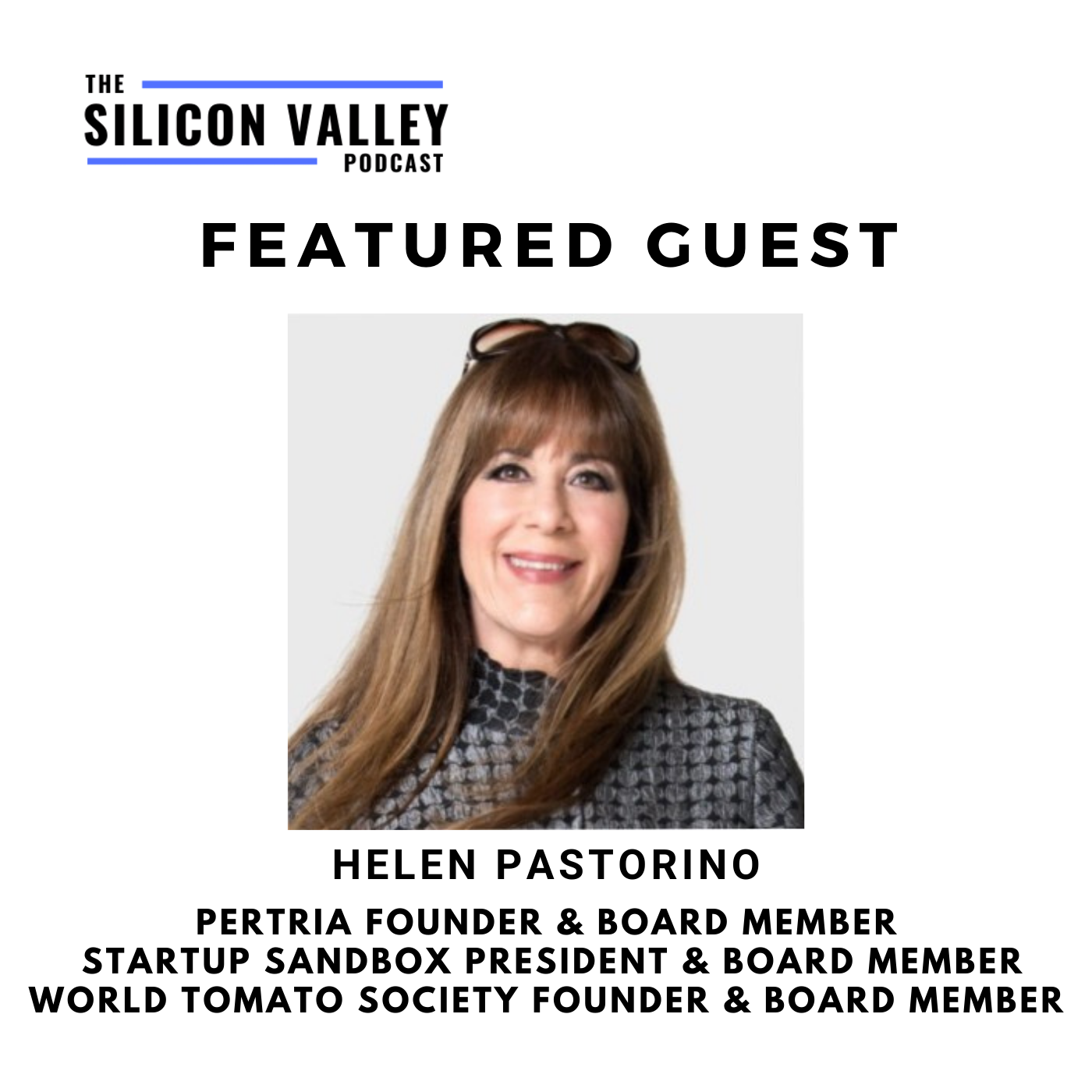 The Silicon Valley Podcast