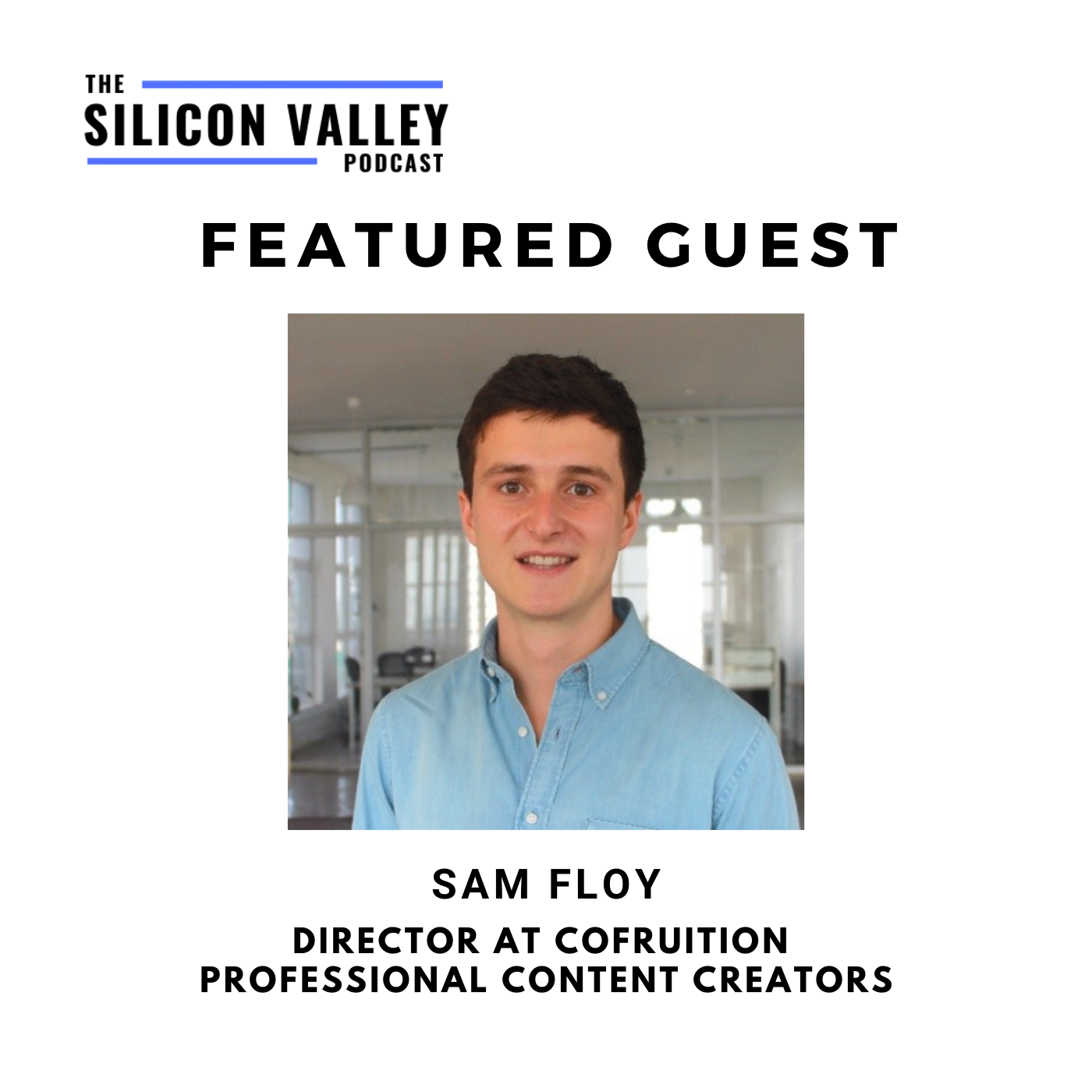 The Silicon Valley Podcast