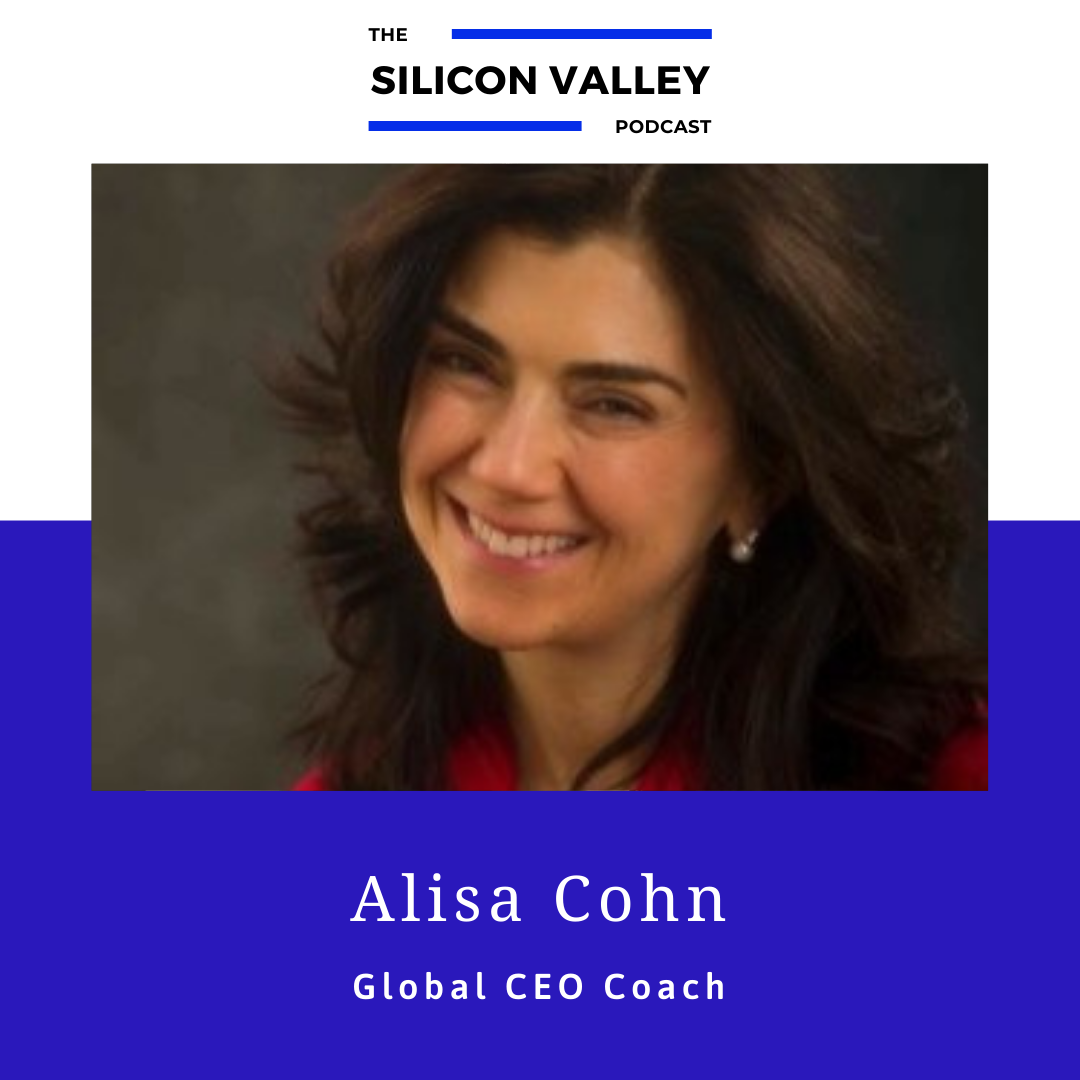 The Silicon Valley Podcast