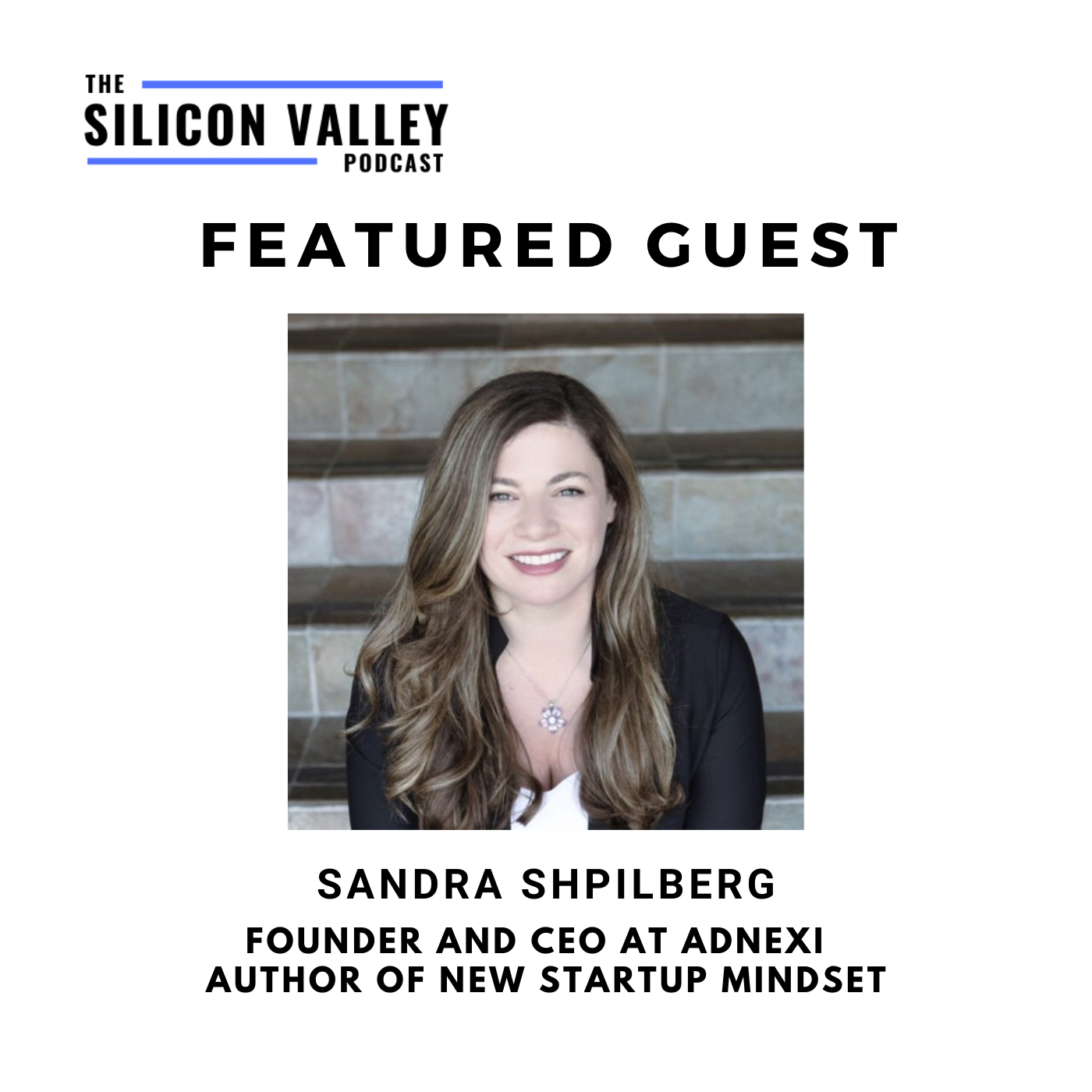 The Silicon Valley Podcast