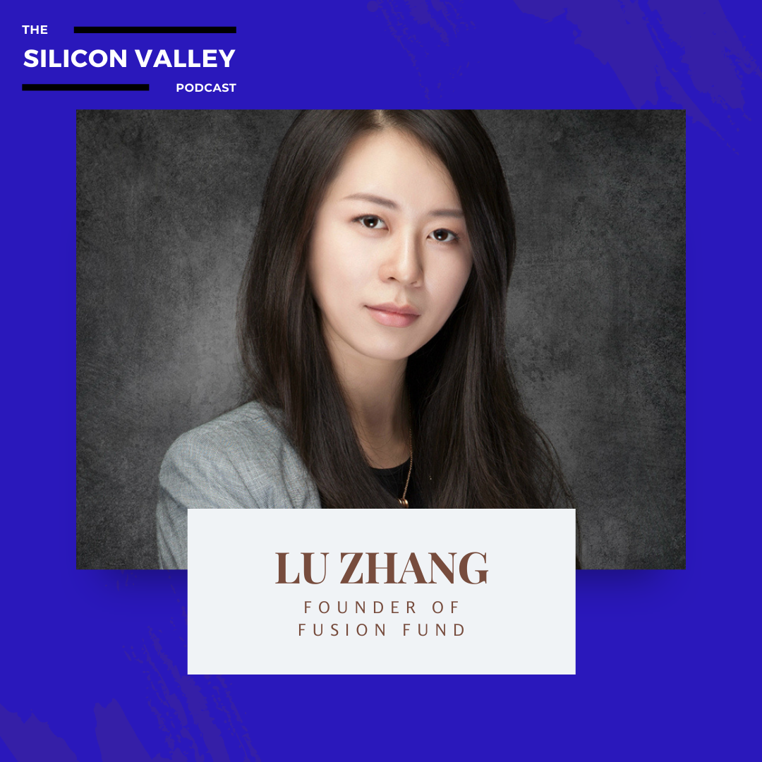 The Silicon Valley Podcast