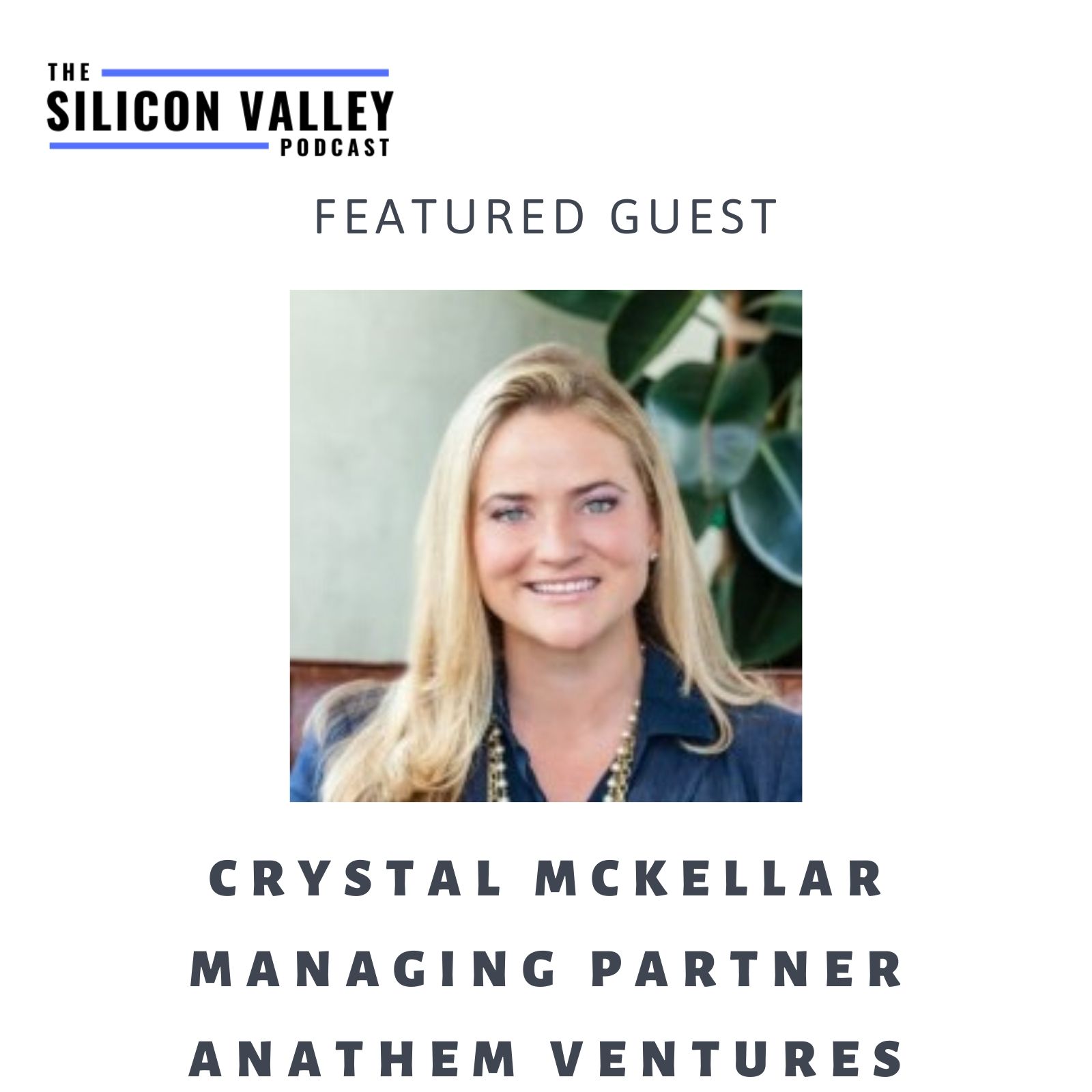 The Silicon Valley Podcast