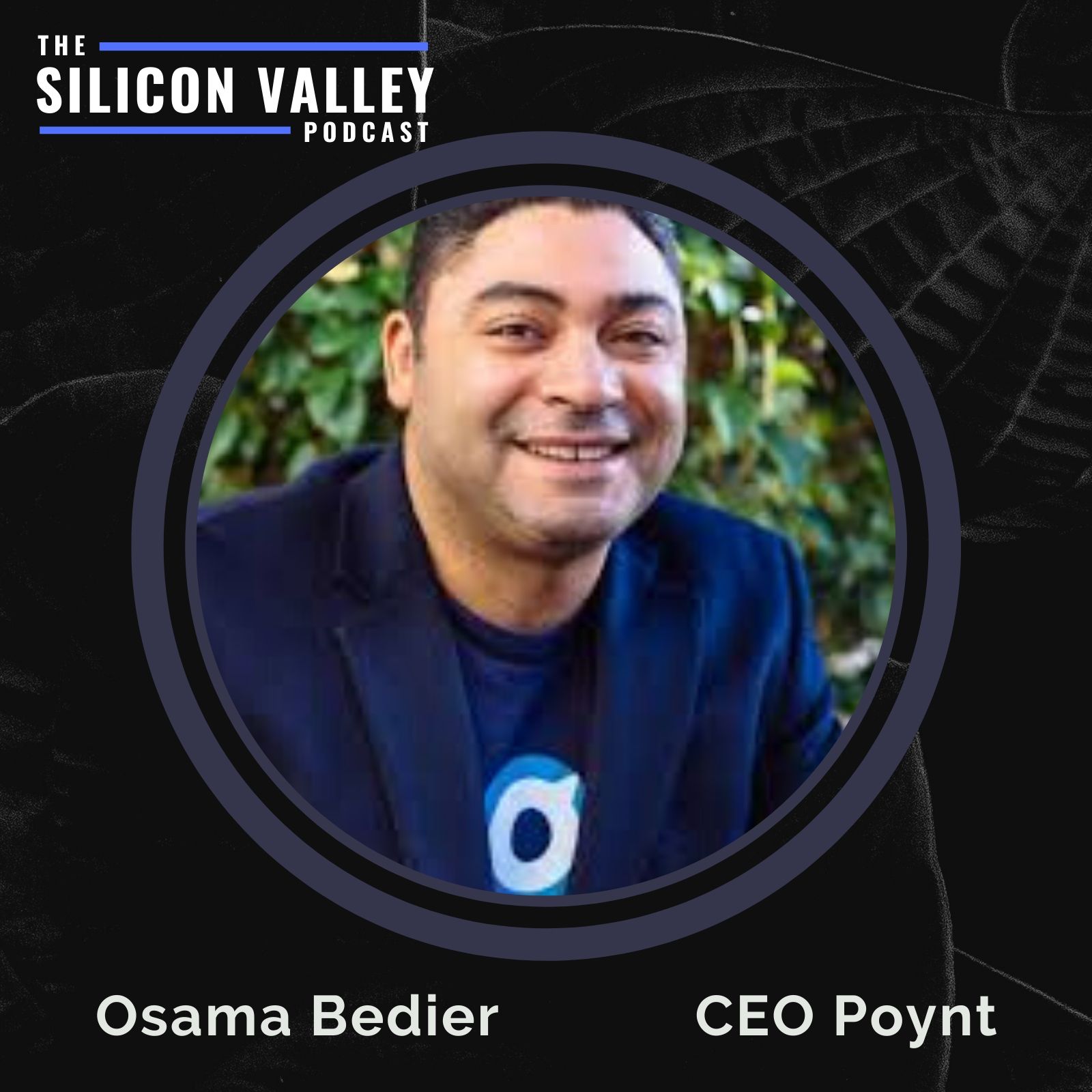 The Silicon Valley Podcast