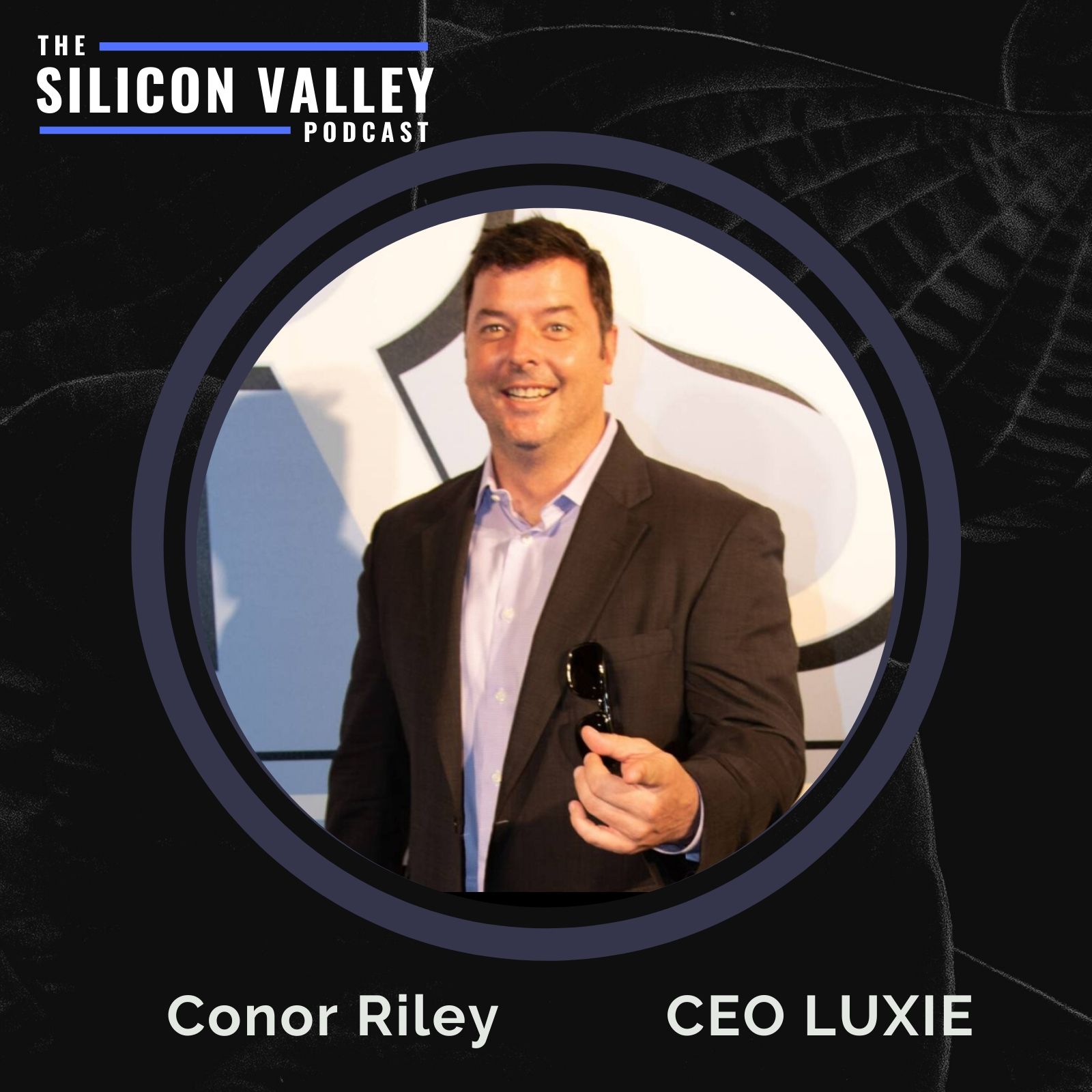 The Silicon Valley Podcast