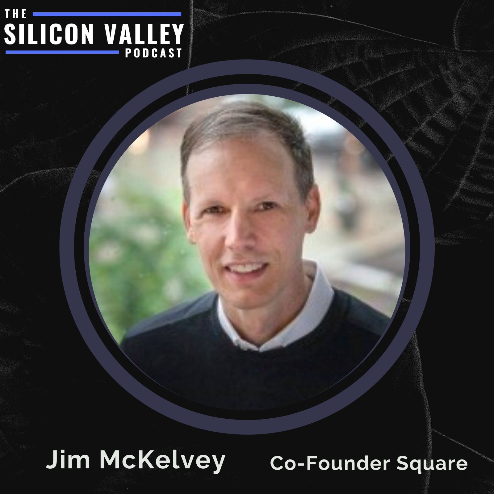 The Silicon Valley Podcast