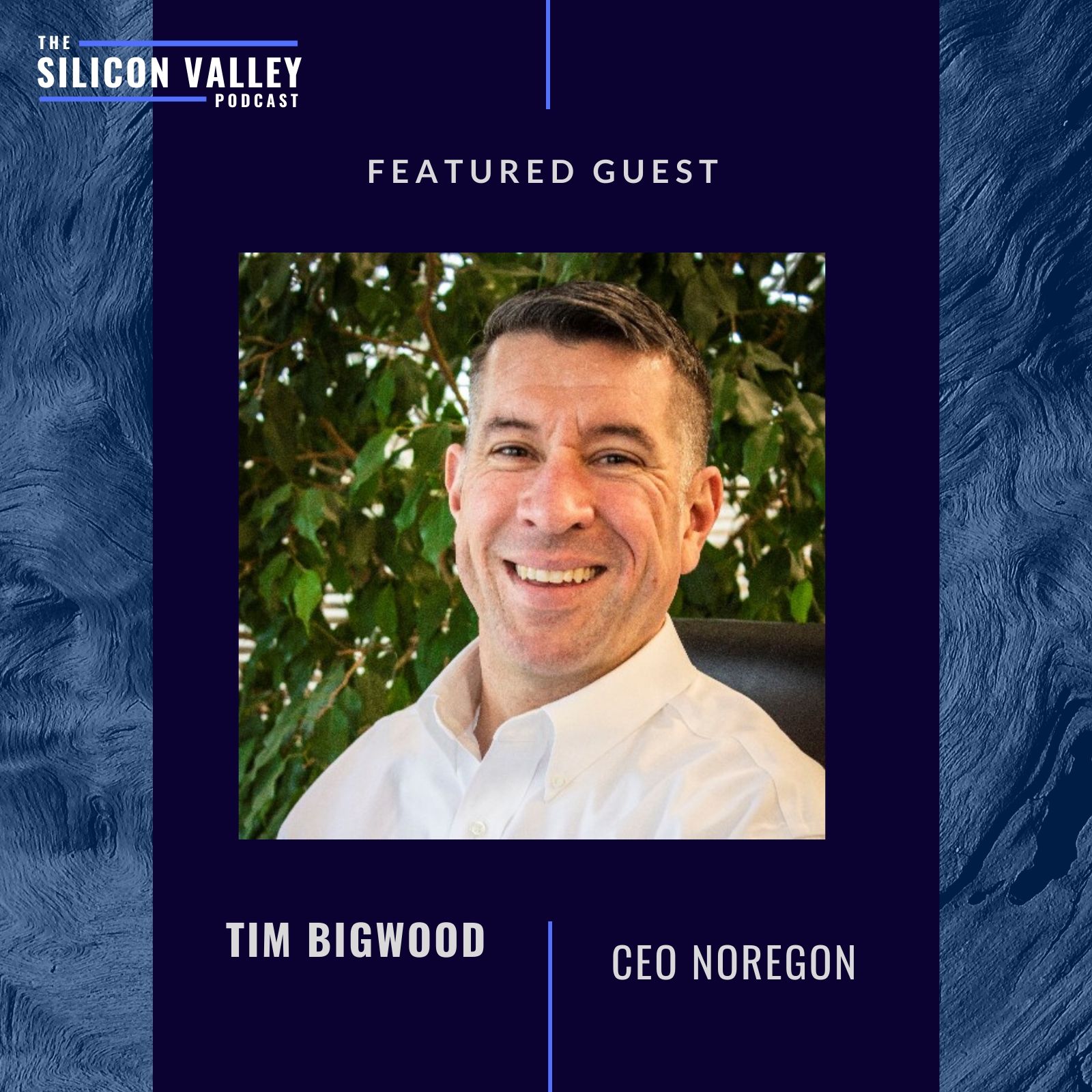 The Silicon Valley Podcast