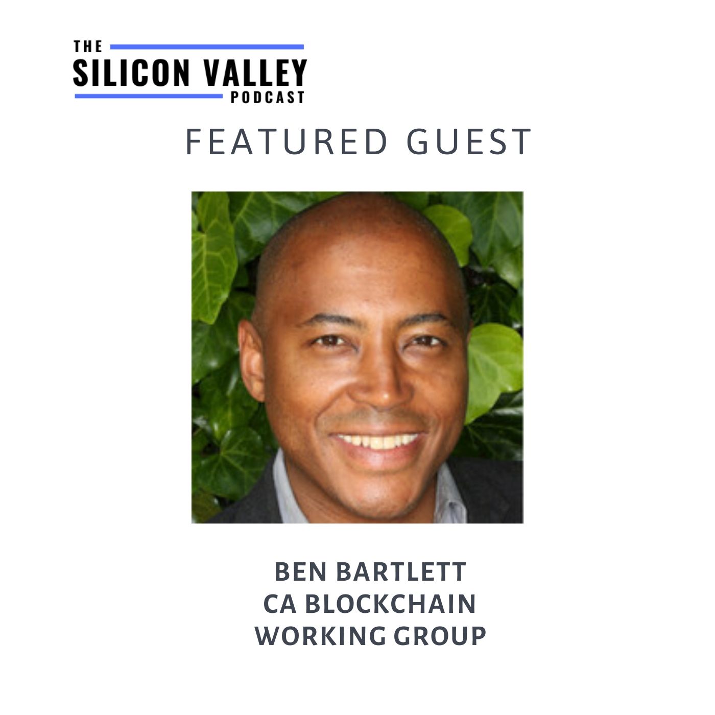 The Silicon Valley Podcast