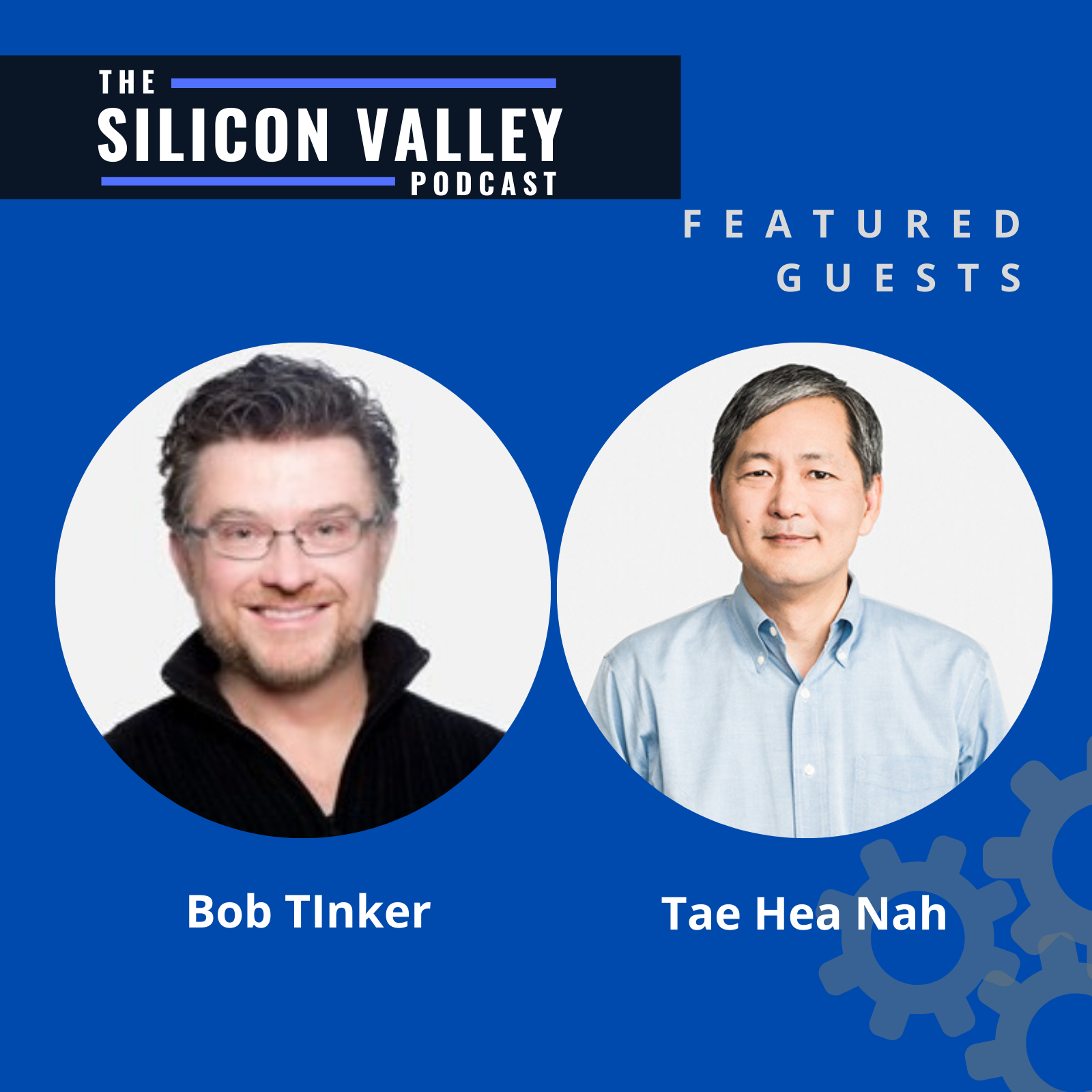 The Silicon Valley Podcast