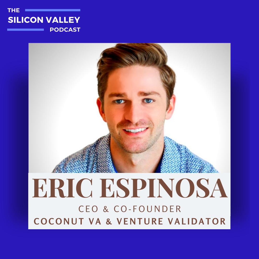 The Silicon Valley Podcast