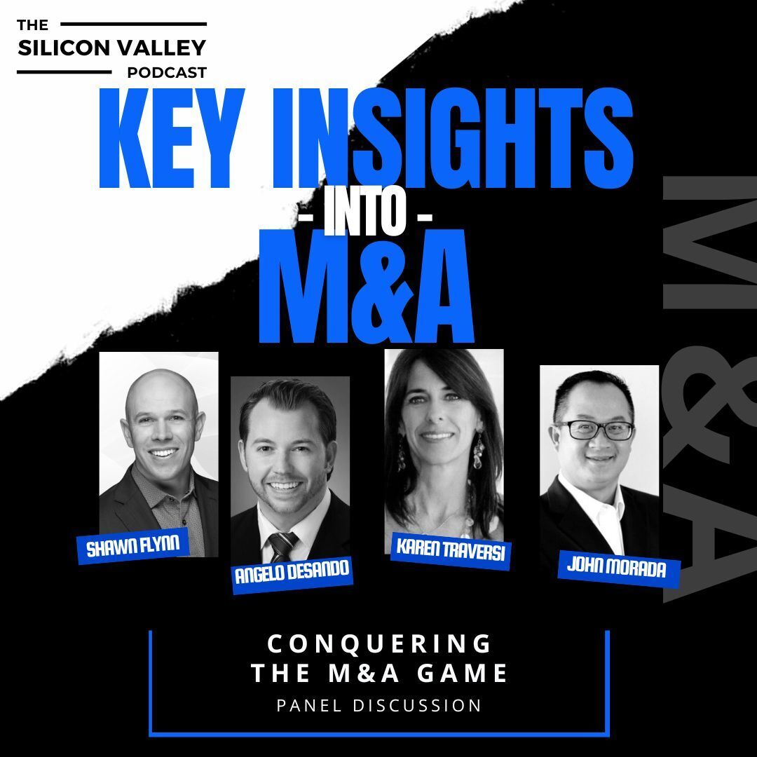 The Silicon Valley Podcast