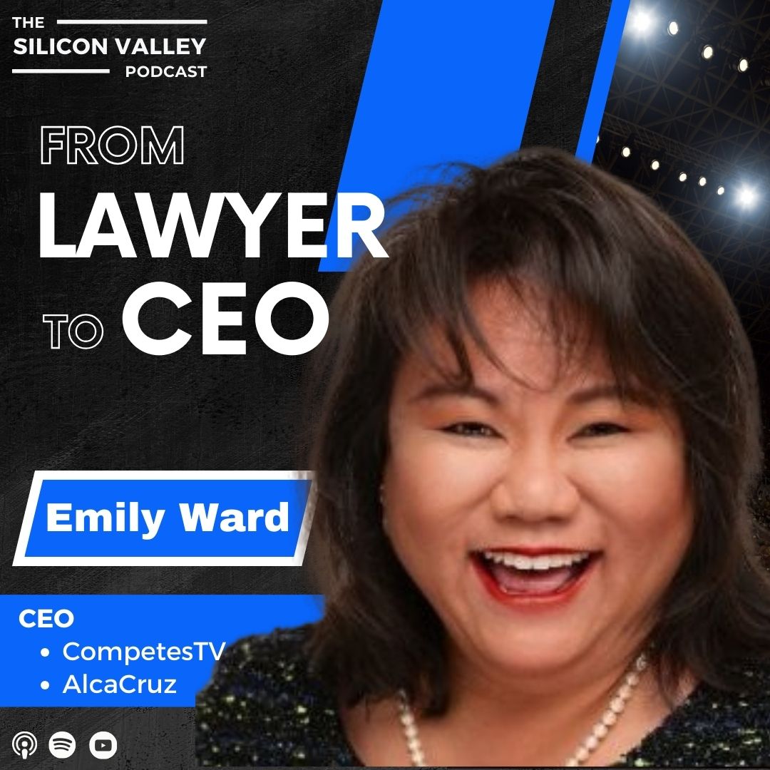 The Silicon Valley Podcast