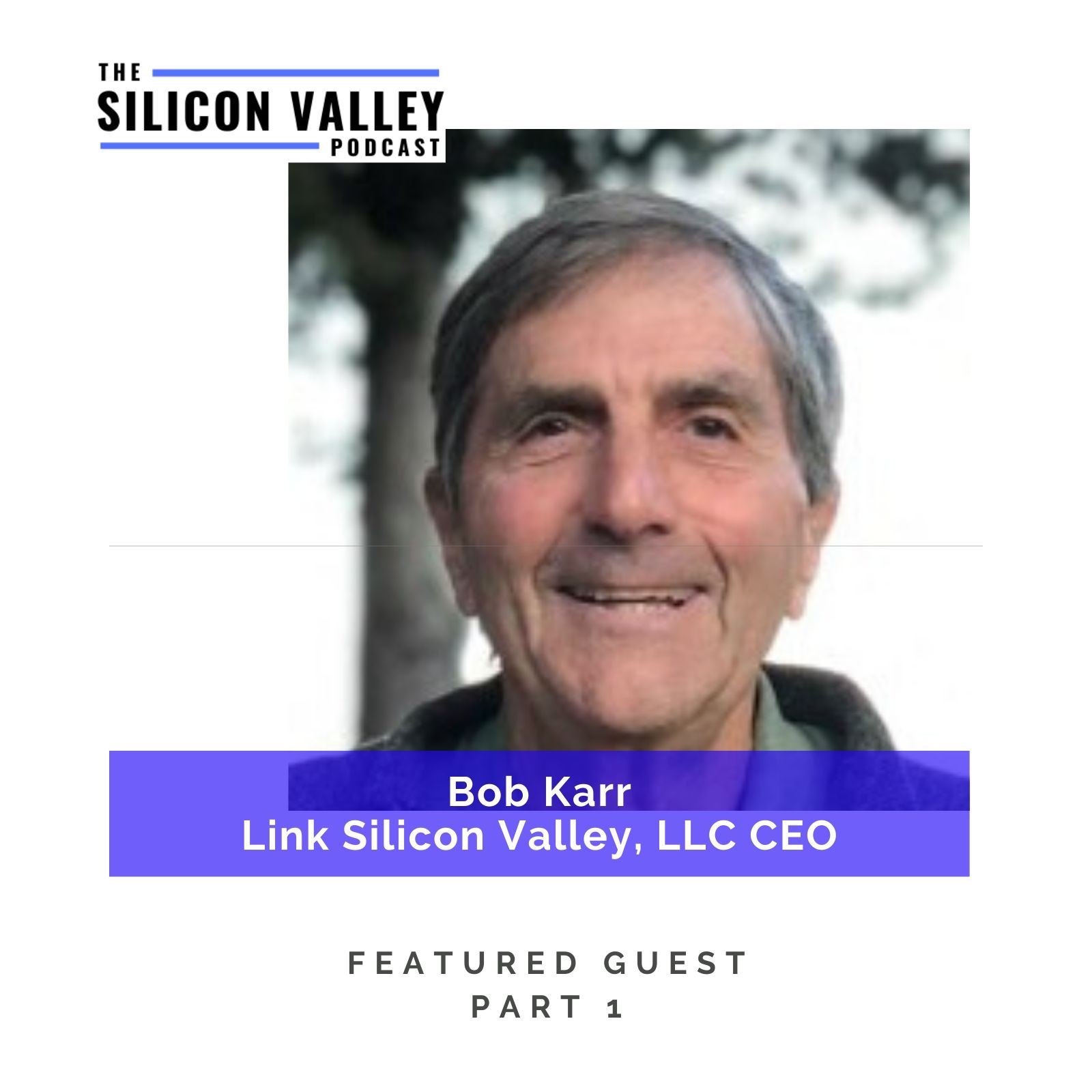 The Silicon Valley Podcast