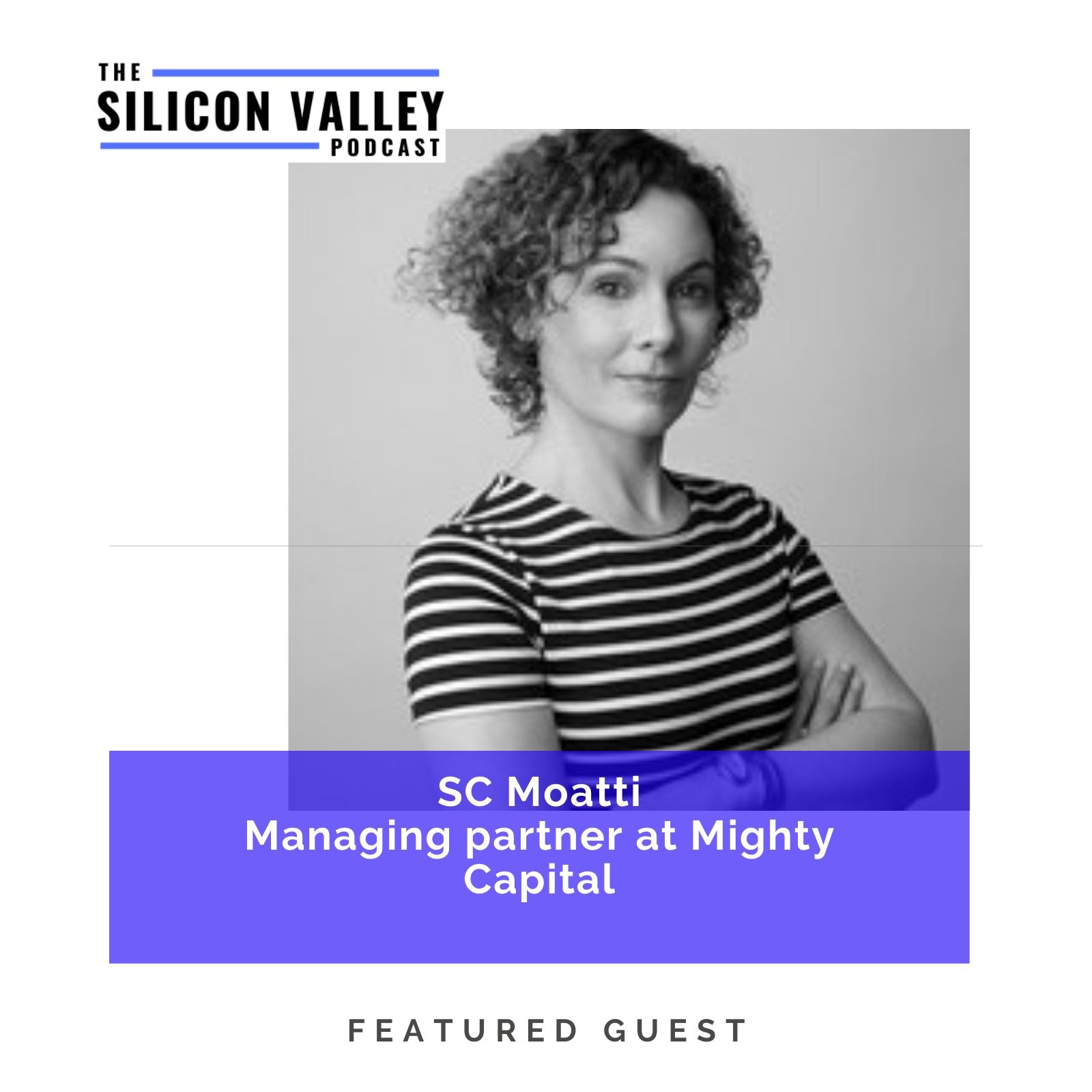 The Silicon Valley Podcast