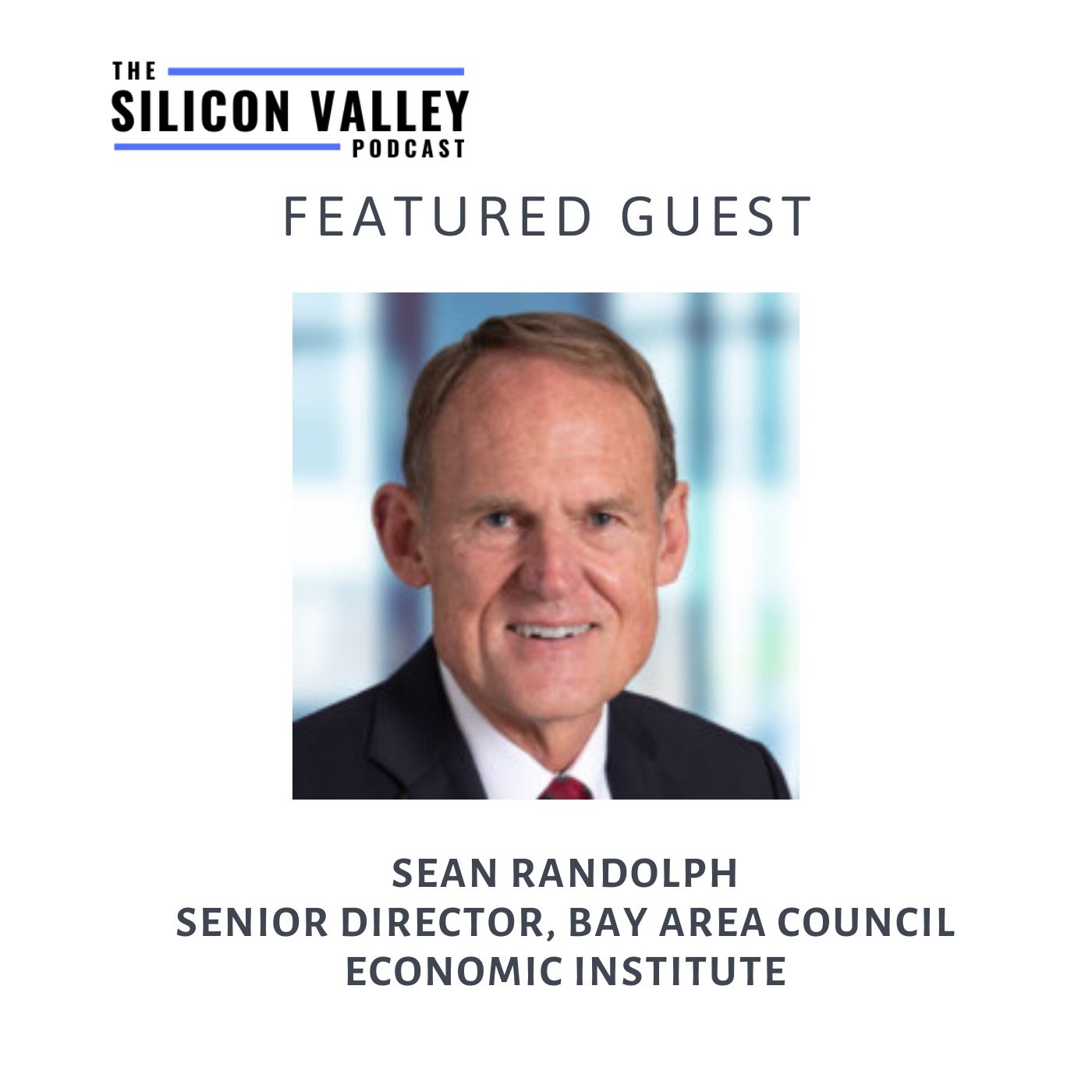 The Silicon Valley Podcast