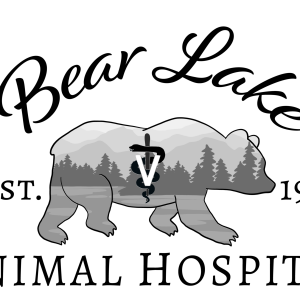 Wave Radio Interview: Shannon Miller, Bear Lake Animal Hospital